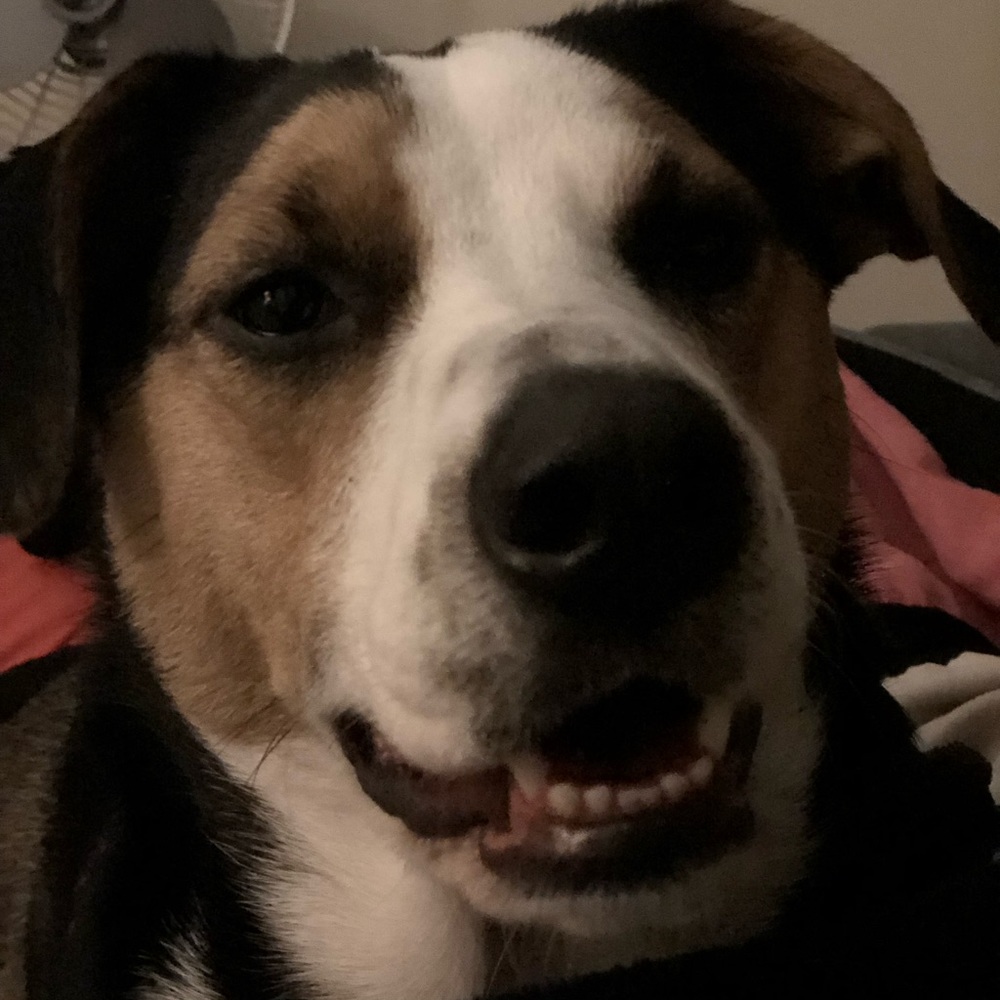 Meet your Posher, Christine